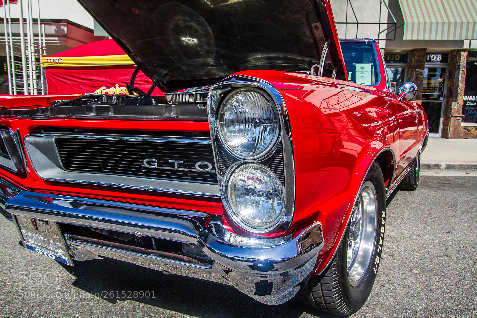 Canon EOS 7D sample photo. An old goat photography