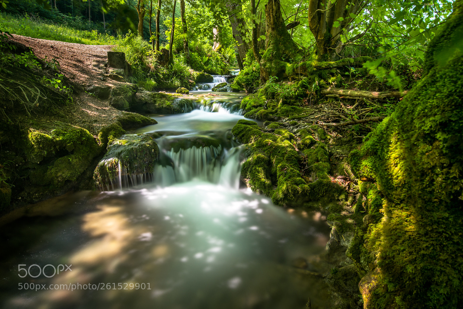 Nikon D610 sample photo. Bad urach brühlbach photography