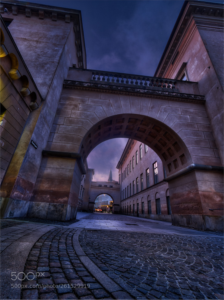 Olympus OM-D E-M1 sample photo. Stutterigade in copenhagen photography