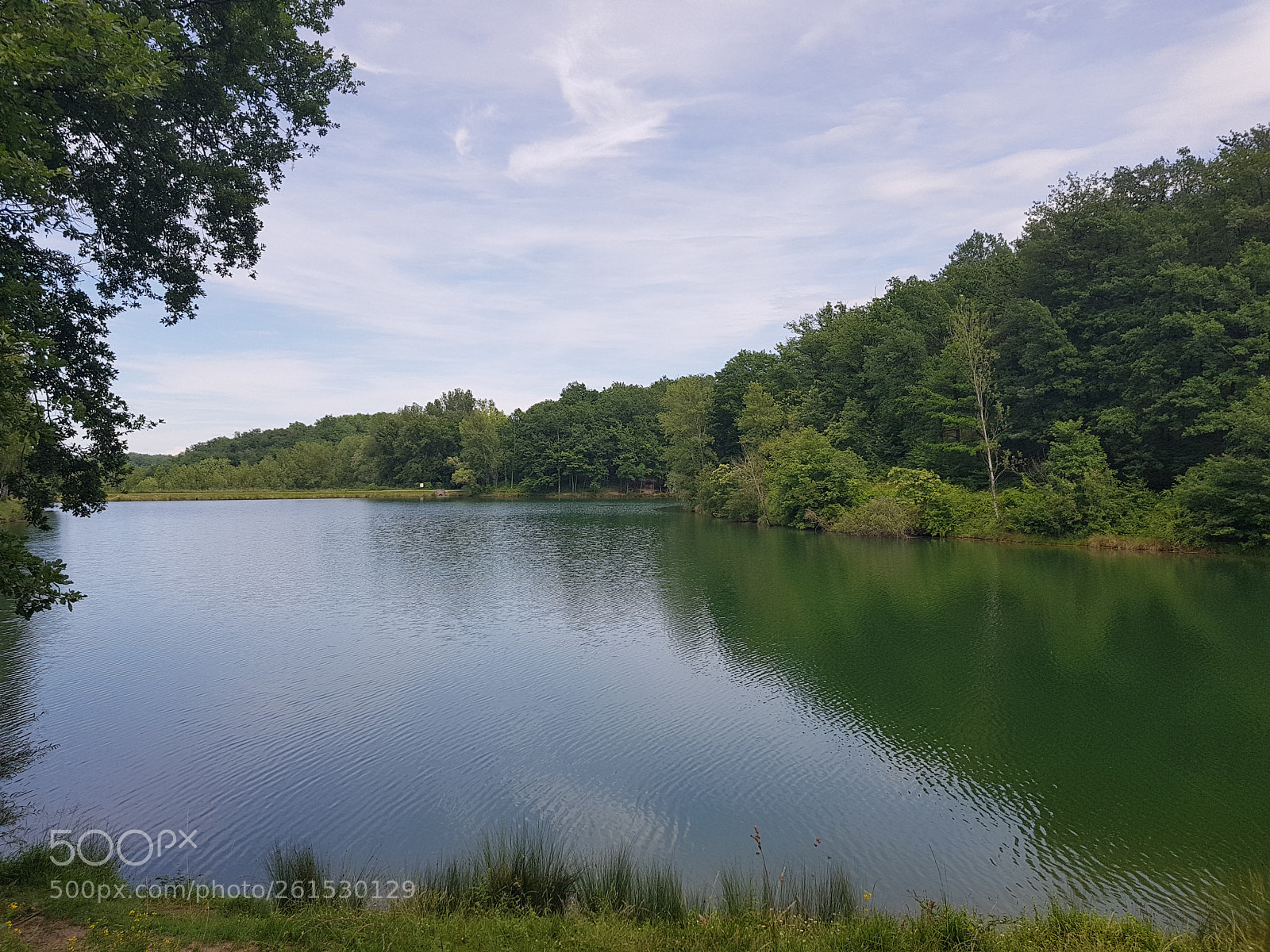 Samsung Galaxy S8 sample photo. Untitled photography