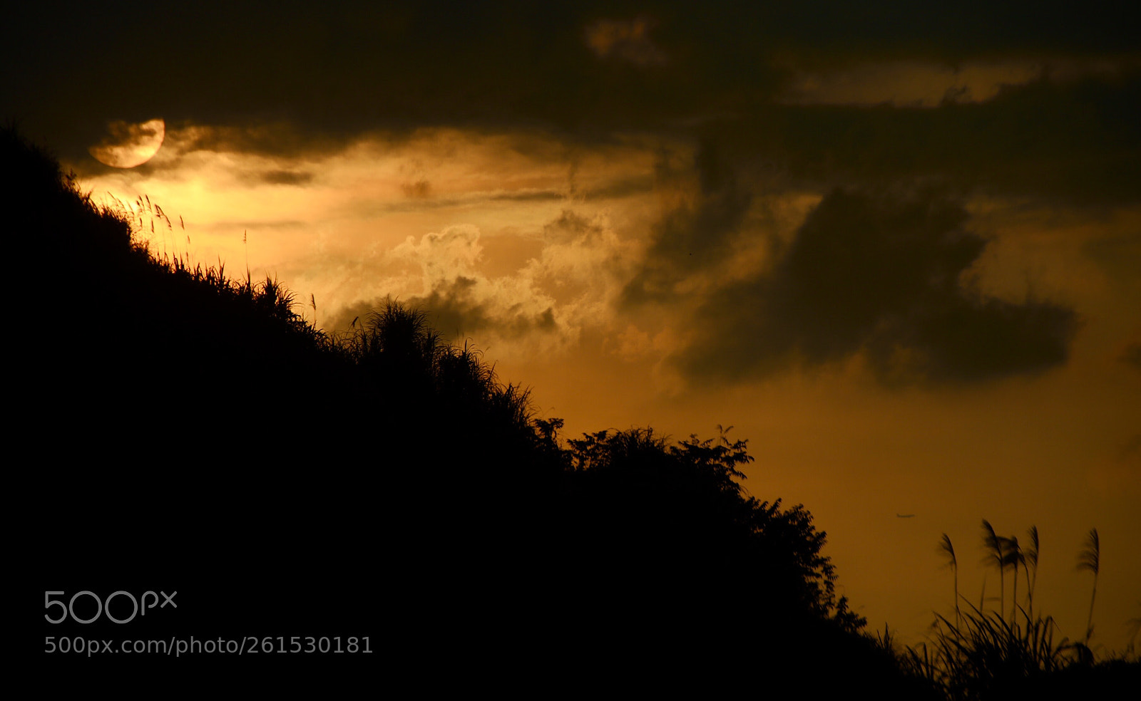 Canon EOS 7D Mark II sample photo. Untitled photography