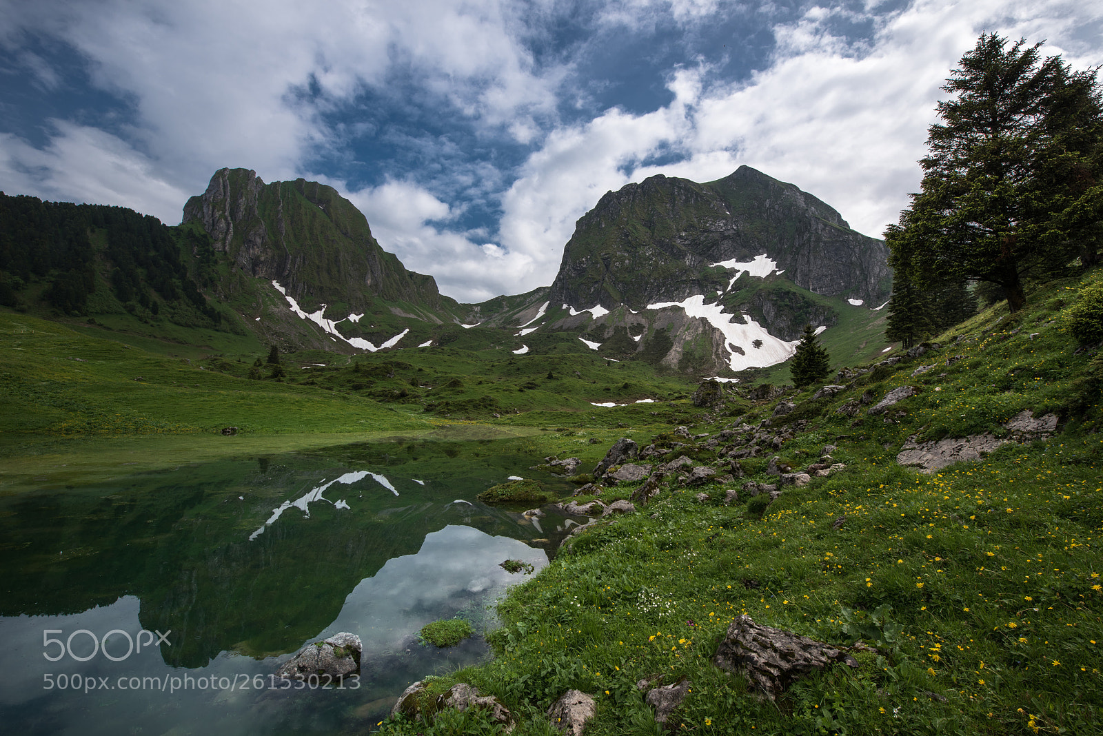 Nikon D810 sample photo. Gurnigelsee photography