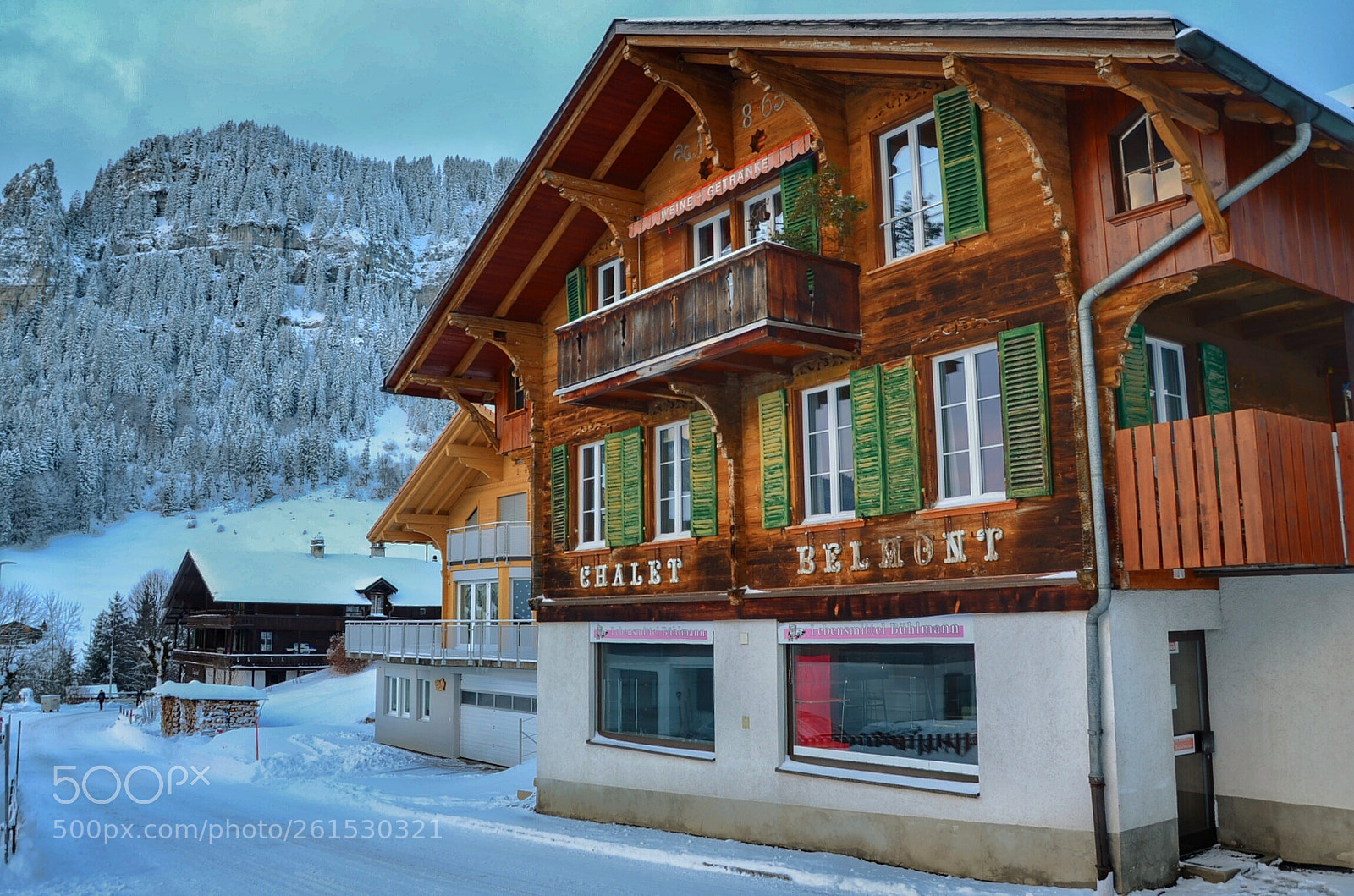 Nikon D5100 sample photo. Suiza photography