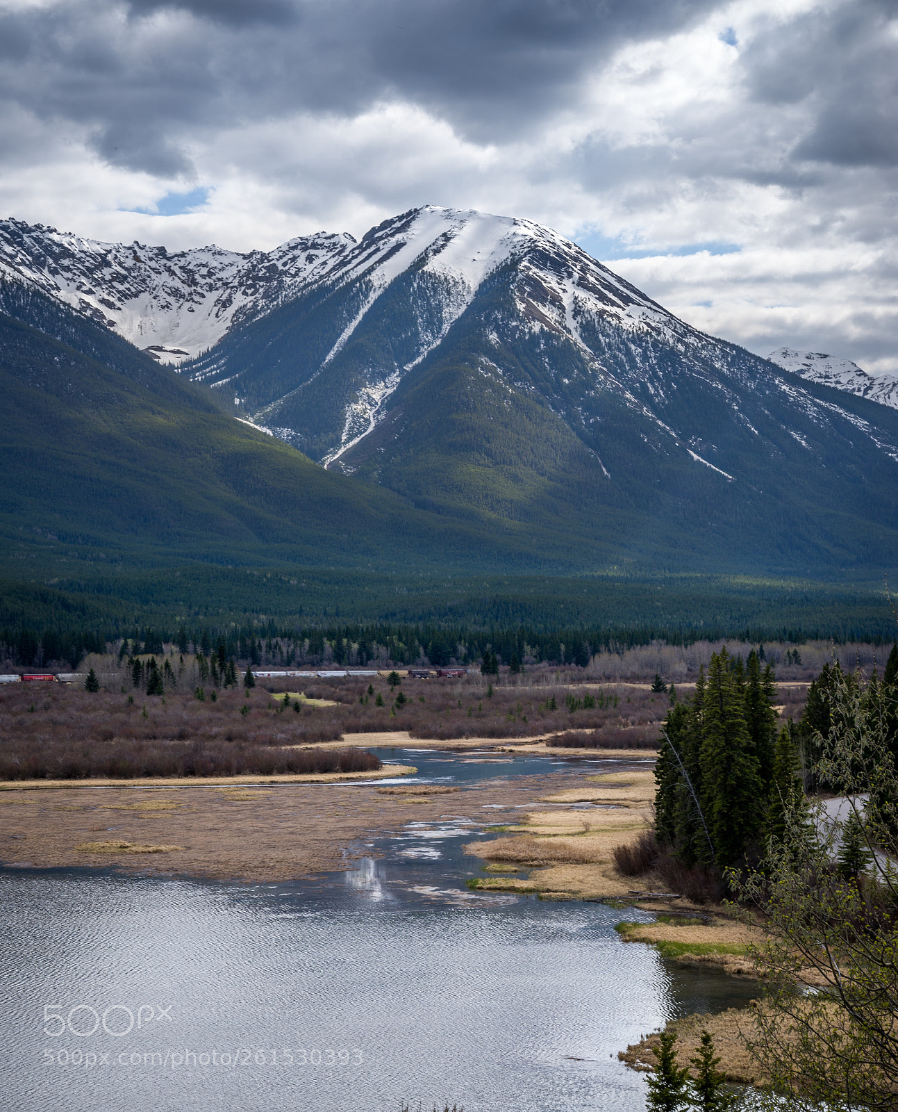 Nikon D610 sample photo. Bow river photography