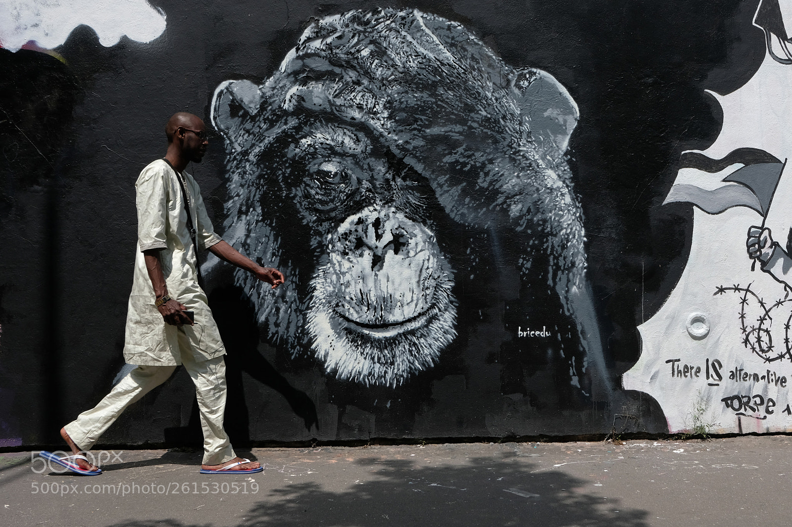 Fujifilm X-T20 sample photo. Monkey photography