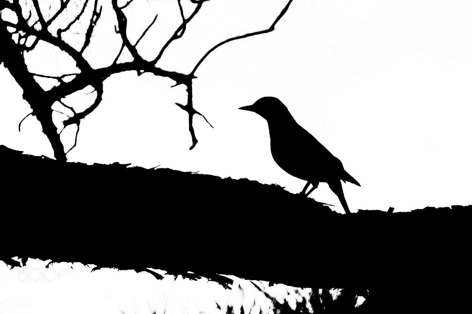 Nikon D3400 sample photo. Silhouette photography