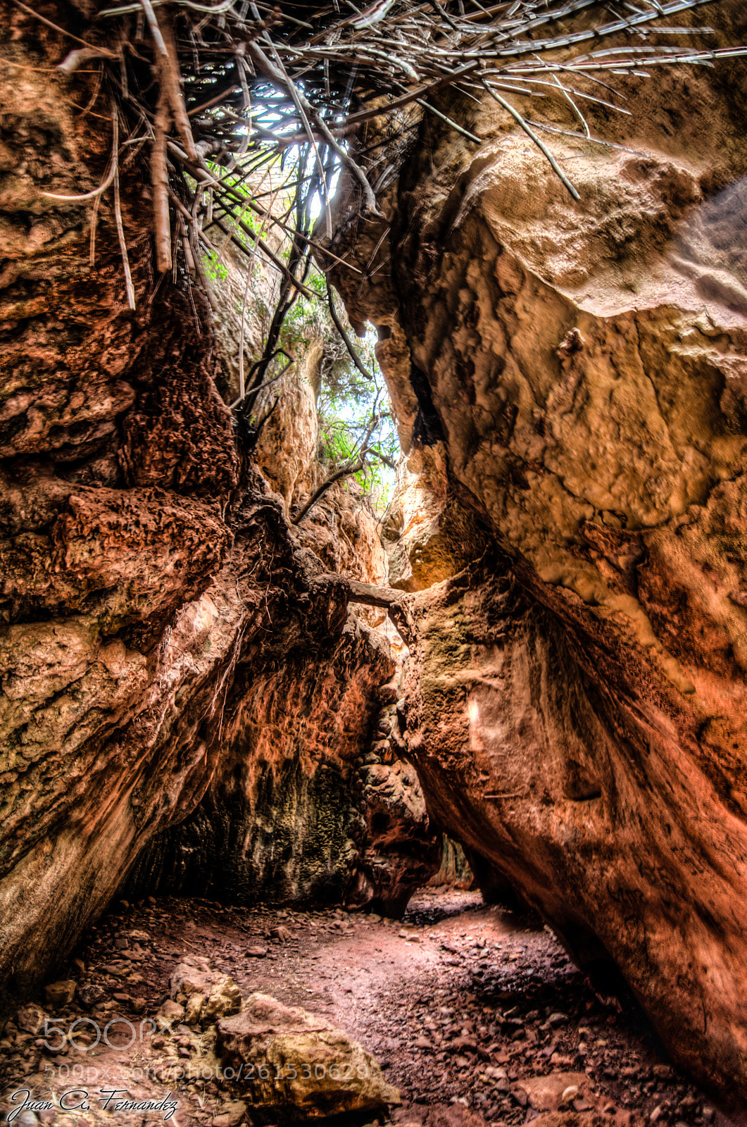 Nikon D7200 sample photo. Estrecho arboleja hdr photography