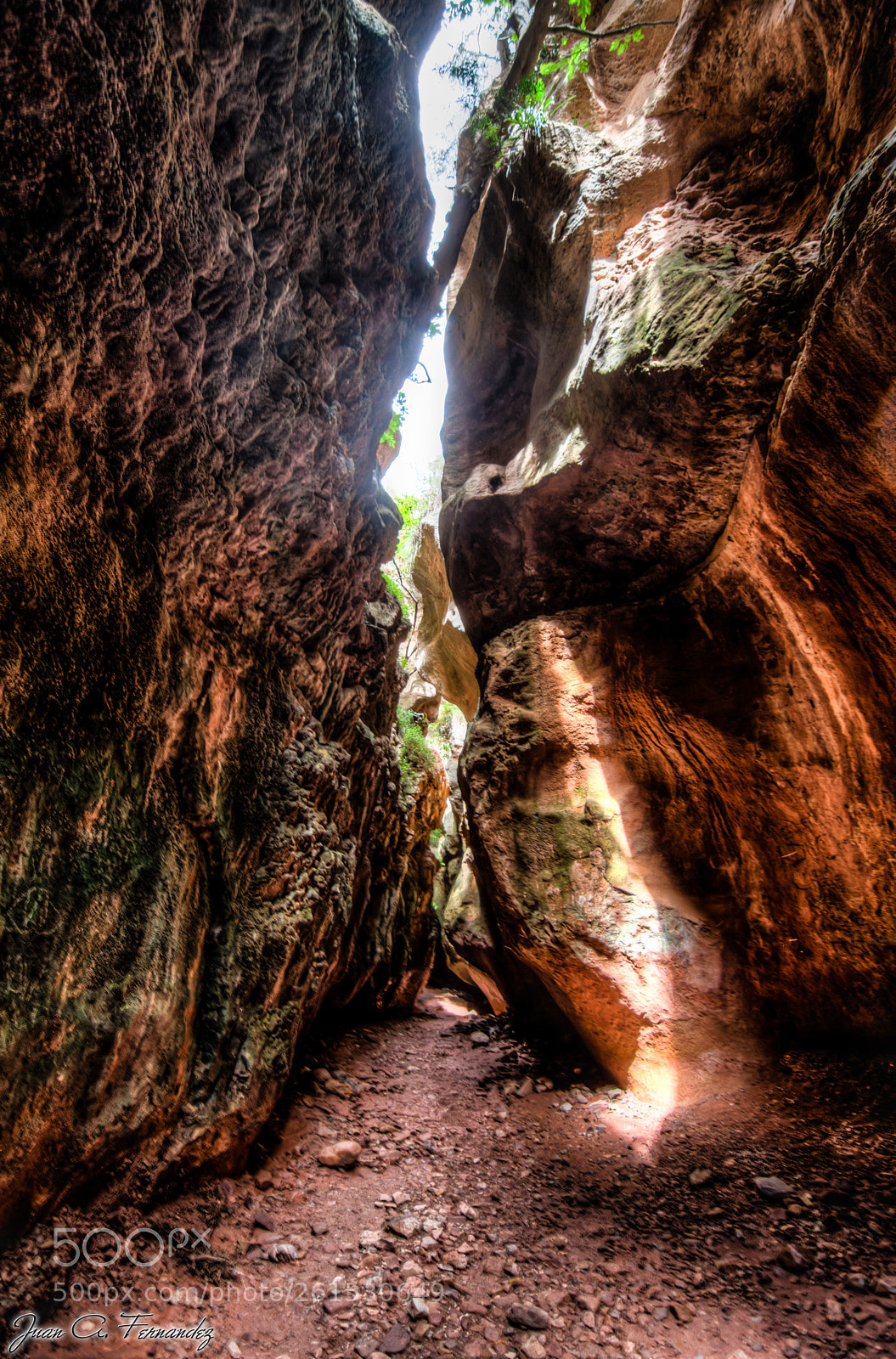 Nikon D7200 sample photo. Estrecho arboleja hdr photography