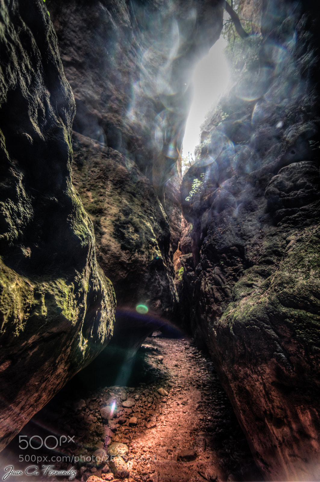 Nikon D7200 sample photo. Estrecho arboleja hdr photography