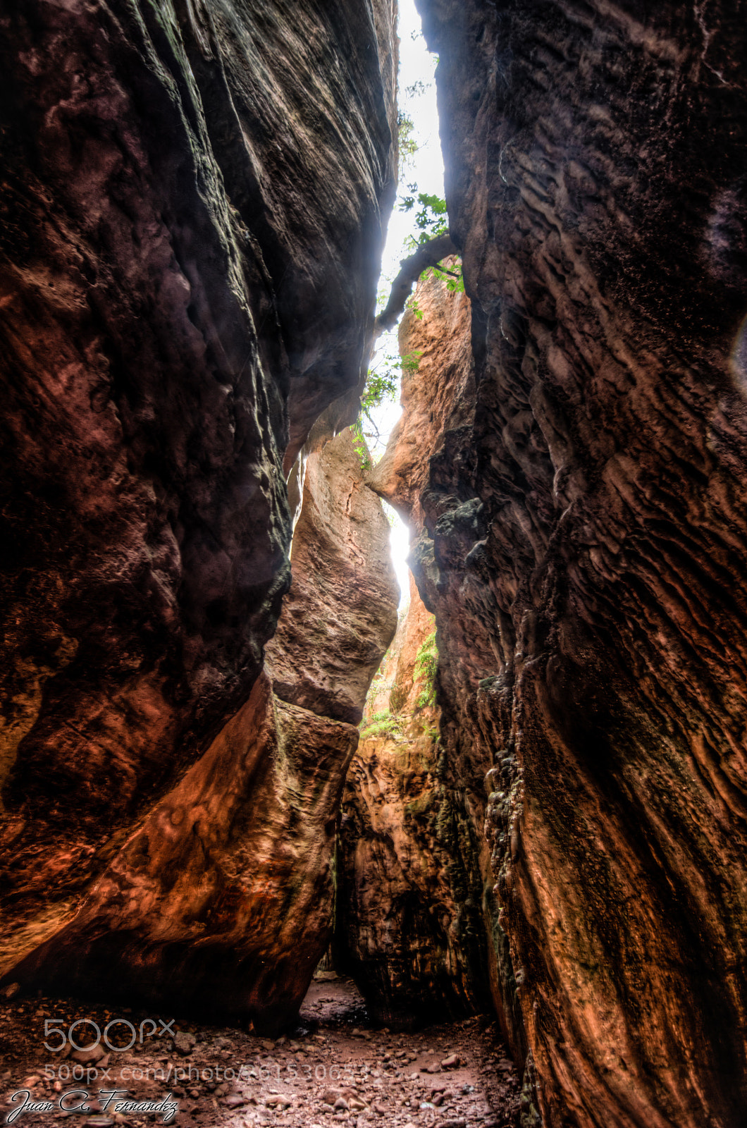 Nikon D7200 sample photo. Estrecho arboleja hdr photography
