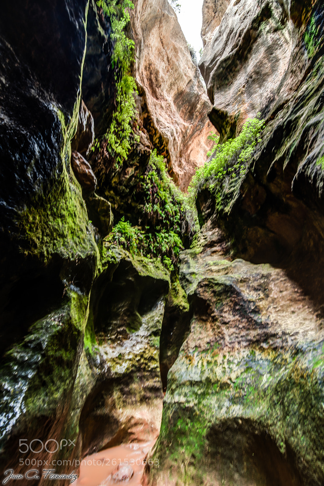 Nikon D7200 sample photo. Estrecho arboleja hdr photography