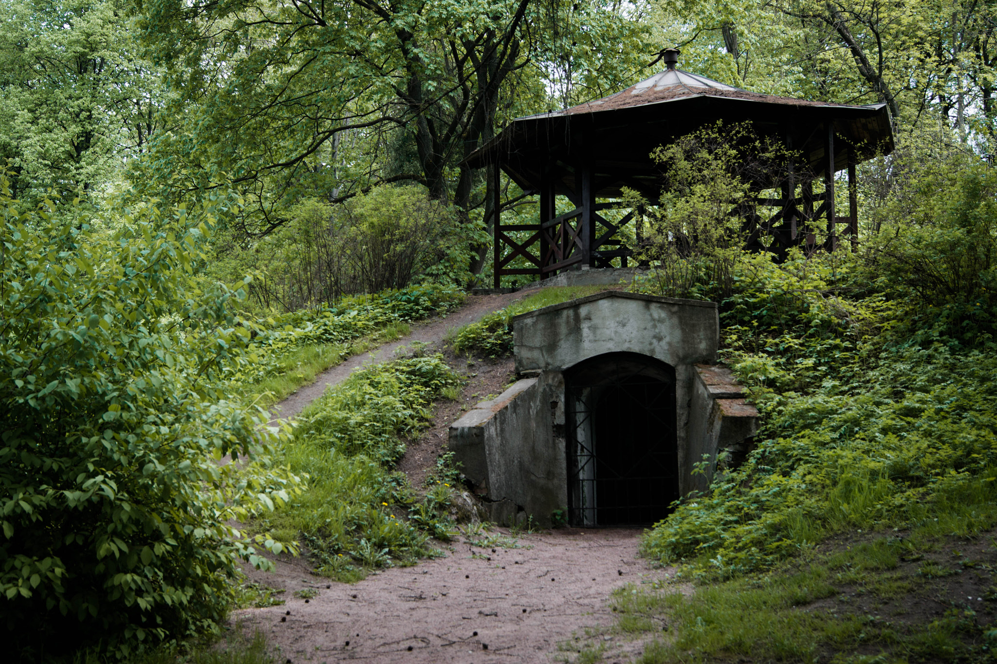 Sony Alpha DSLR-A290 sample photo. Botanical garden photography