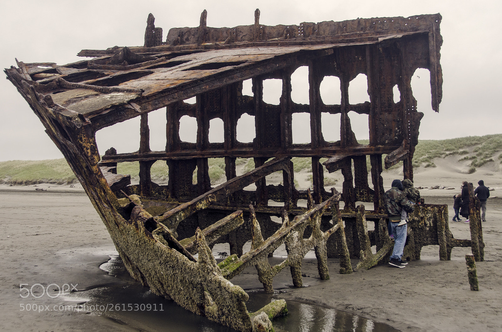 Nikon D7000 sample photo. Peter iredale shipwreck, close photography