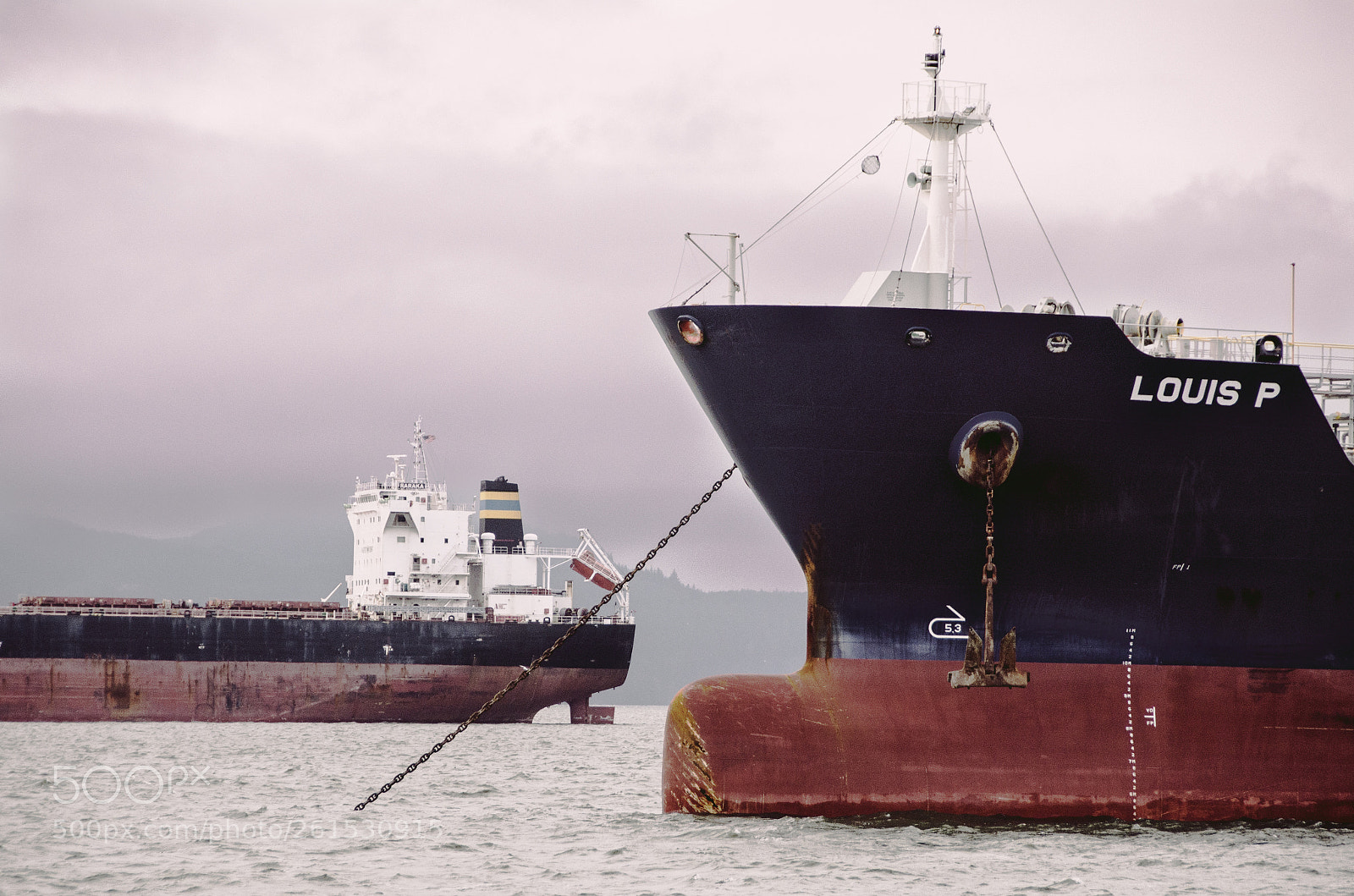 Nikon D7000 sample photo. Anchored unloaded container ships photography