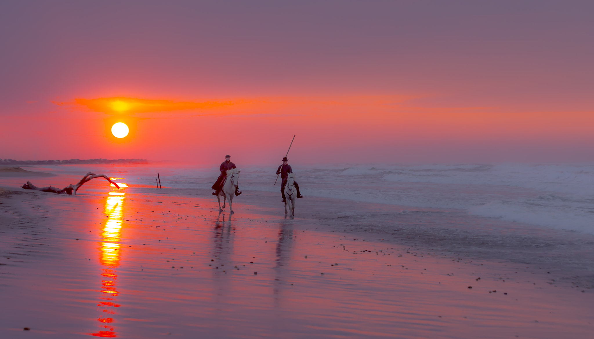 Canon EOS-1D X sample photo. On the beach photography