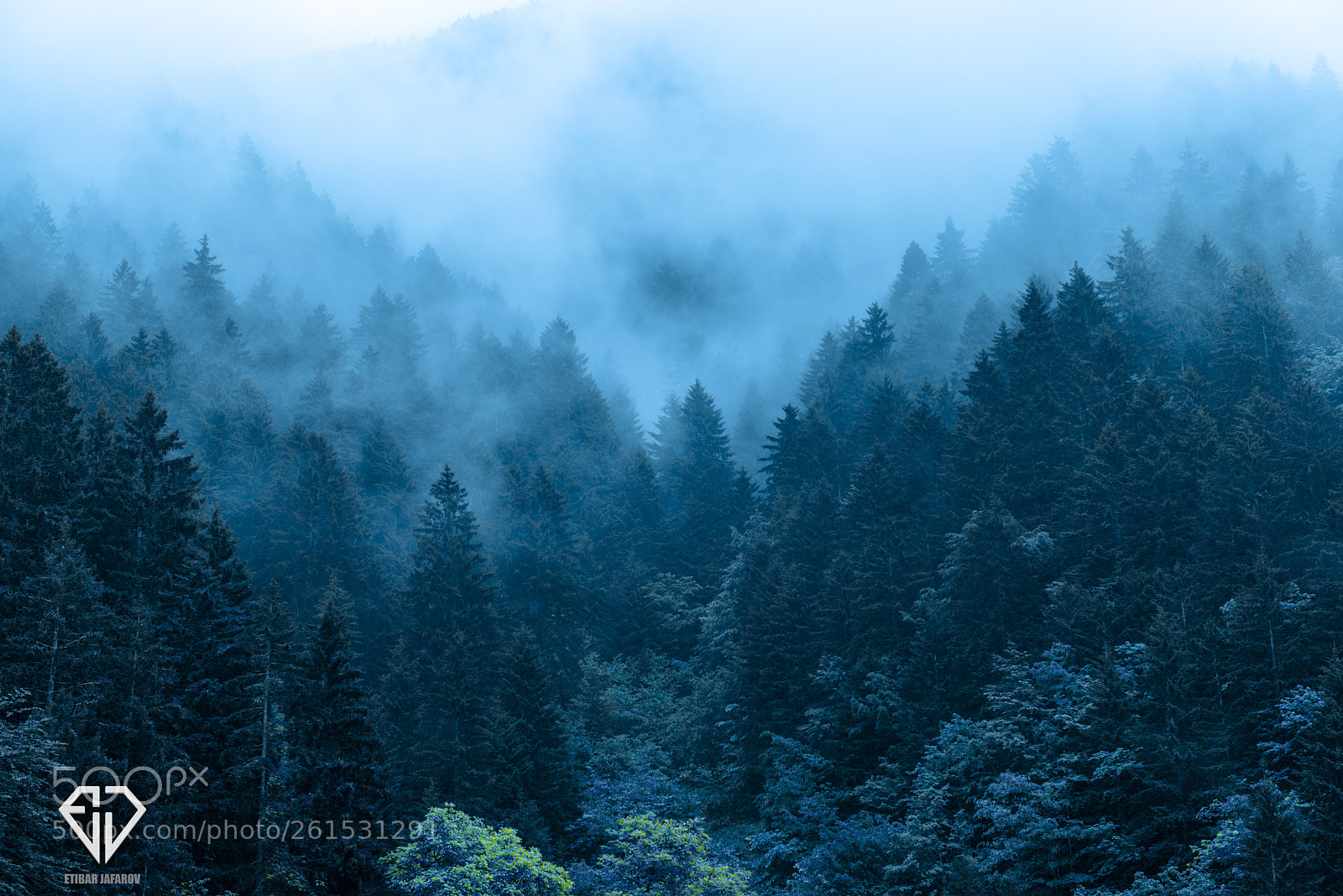 Nikon D800 sample photo. Trabzon photography