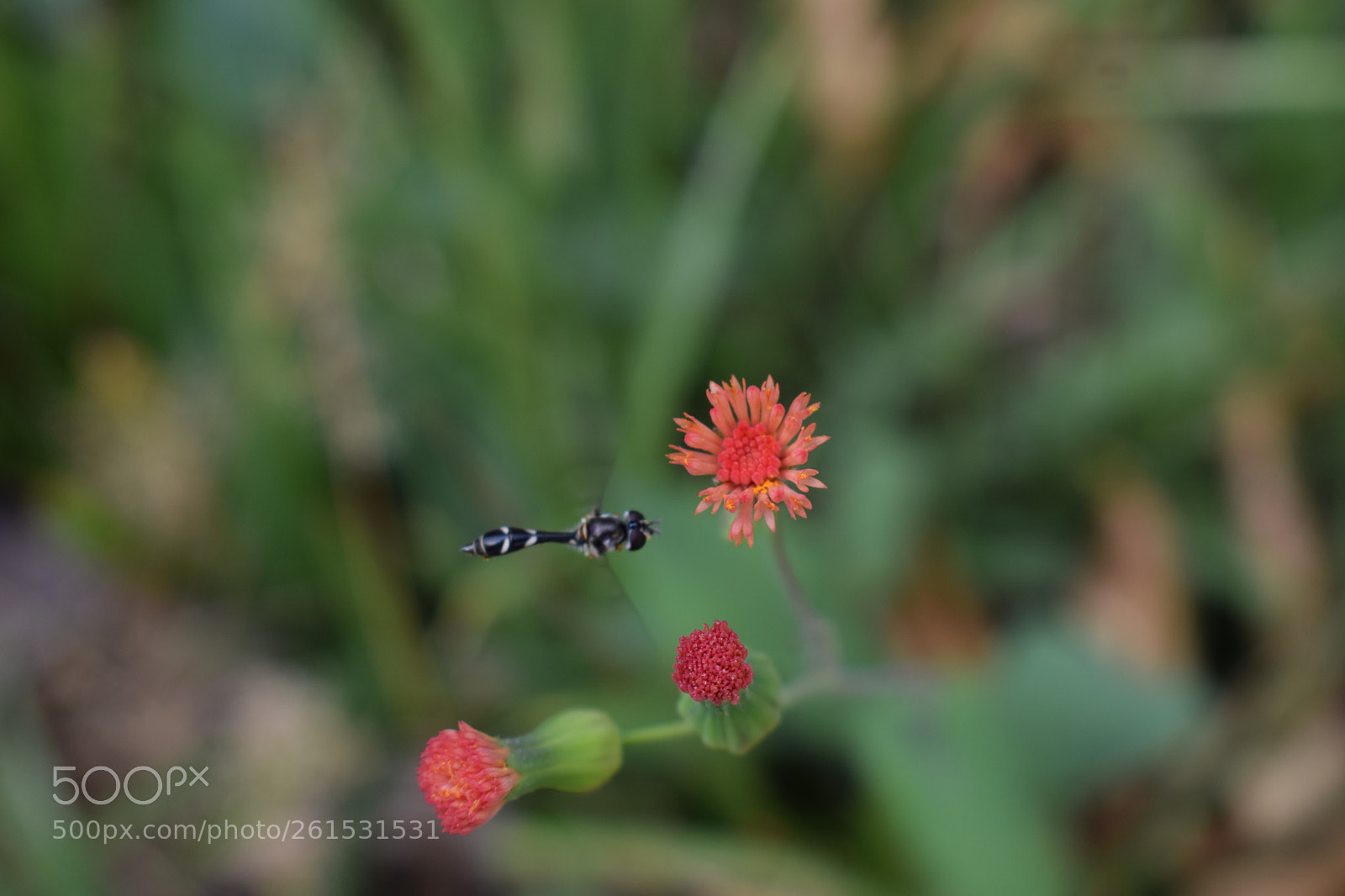 Nikon D5300 sample photo. Aquele momento photography