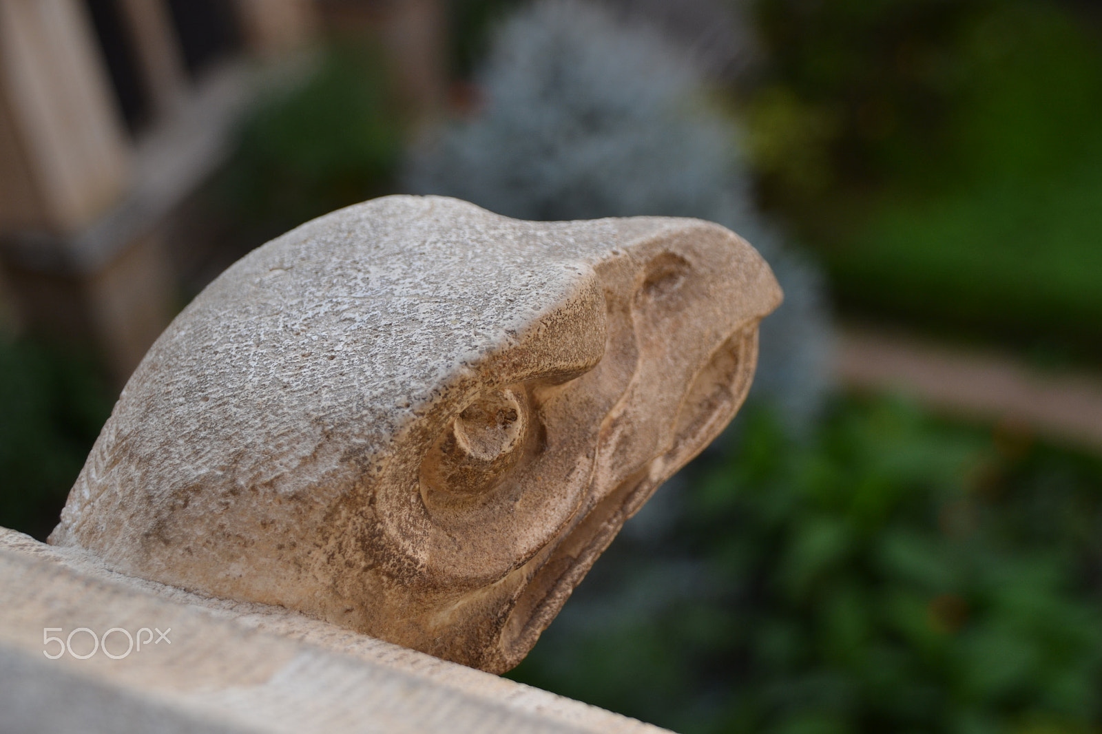Sigma 18-250mm F3.5-6.3 DC Macro OS HSM sample photo. Gargoyle photography