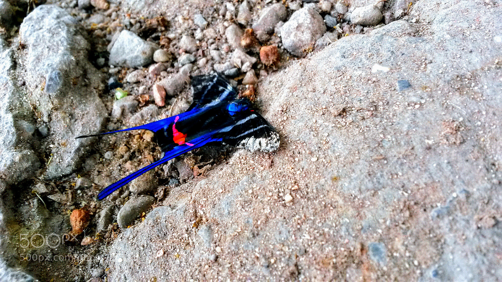 Samsung Galaxy S4 Mini sample photo. Untitled photography