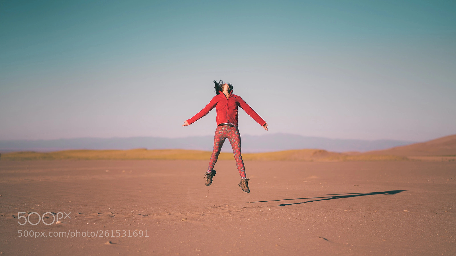 Sony a7R II sample photo. Copy photography