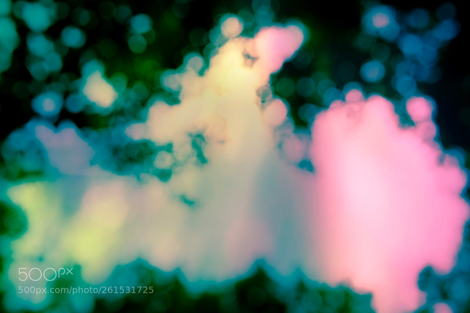 Fujifilm X-T20 sample photo. Lights in nature photography