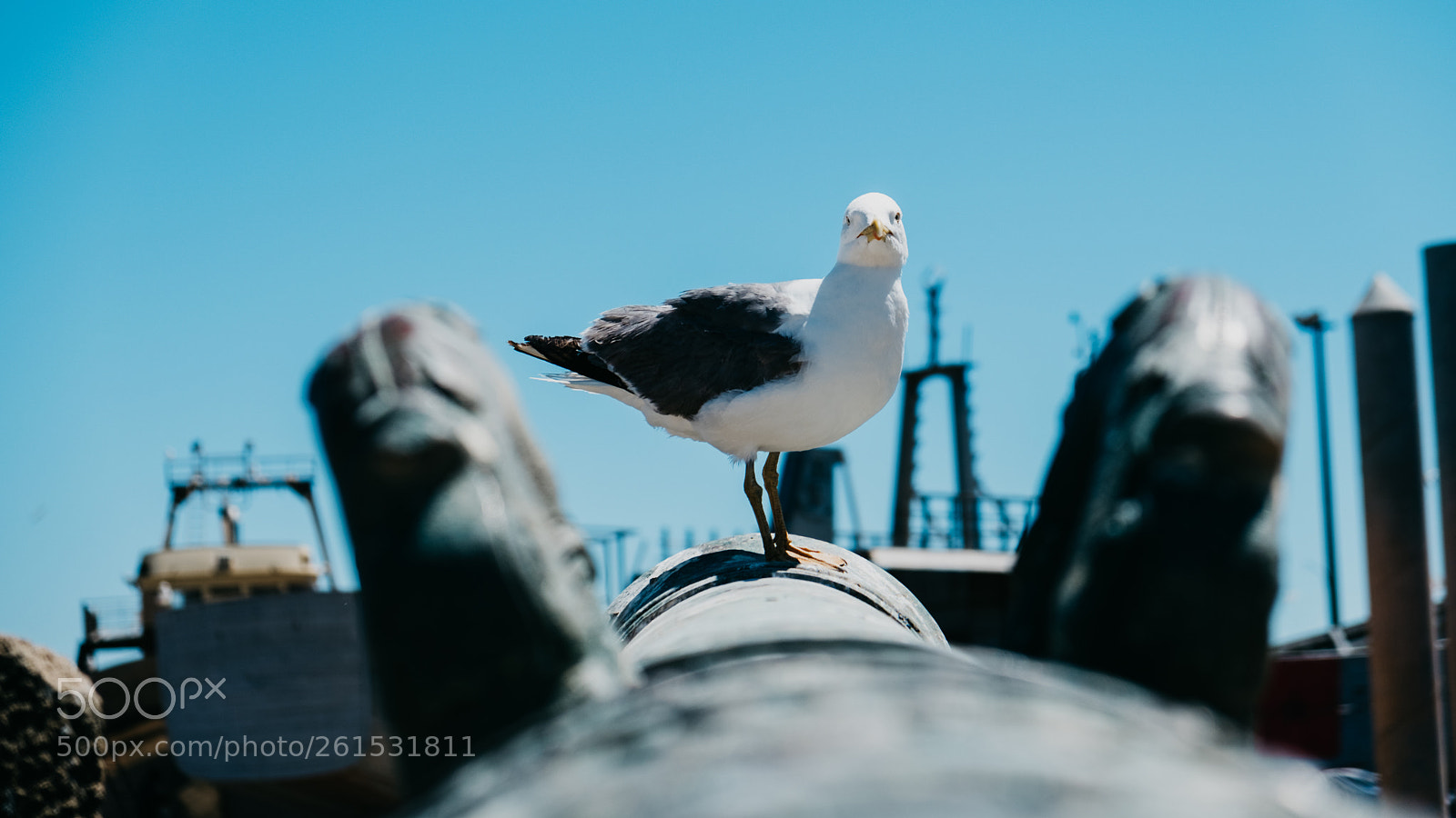 Fujifilm X-T2 sample photo. Essaouira photography