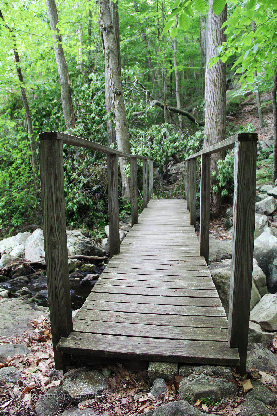 Canon EOS 60D sample photo. Walking bridge photography