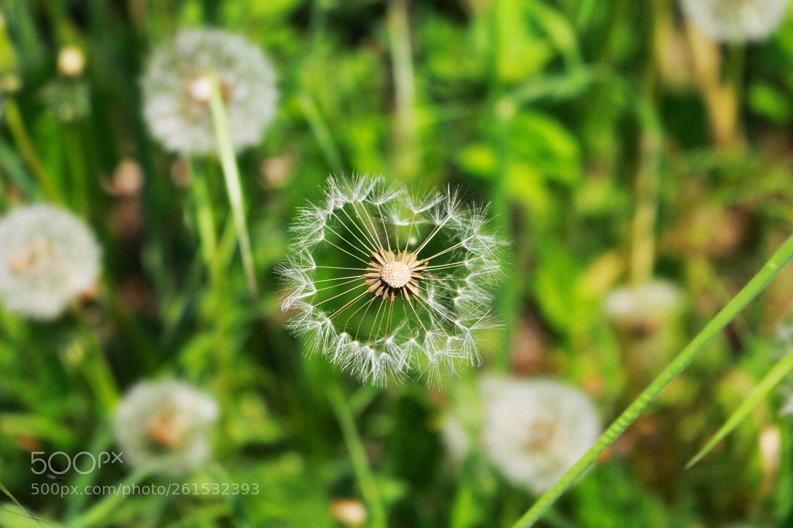 Canon EOS 70D sample photo. Untitled photography