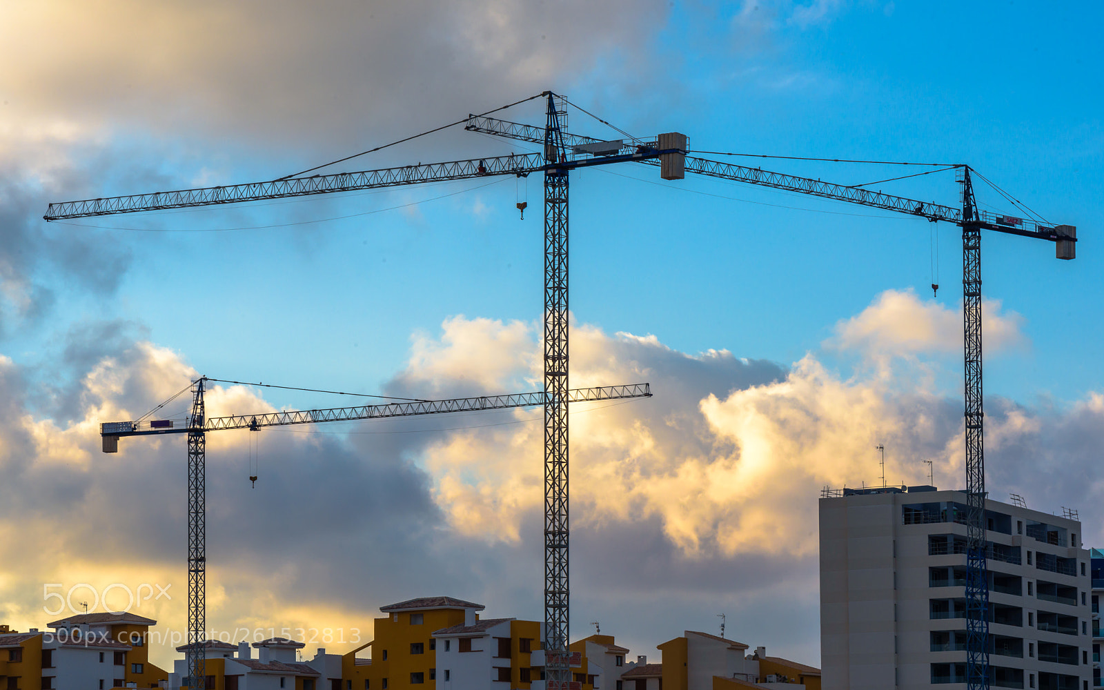 Nikon D750 sample photo. Tower cranes in the photography