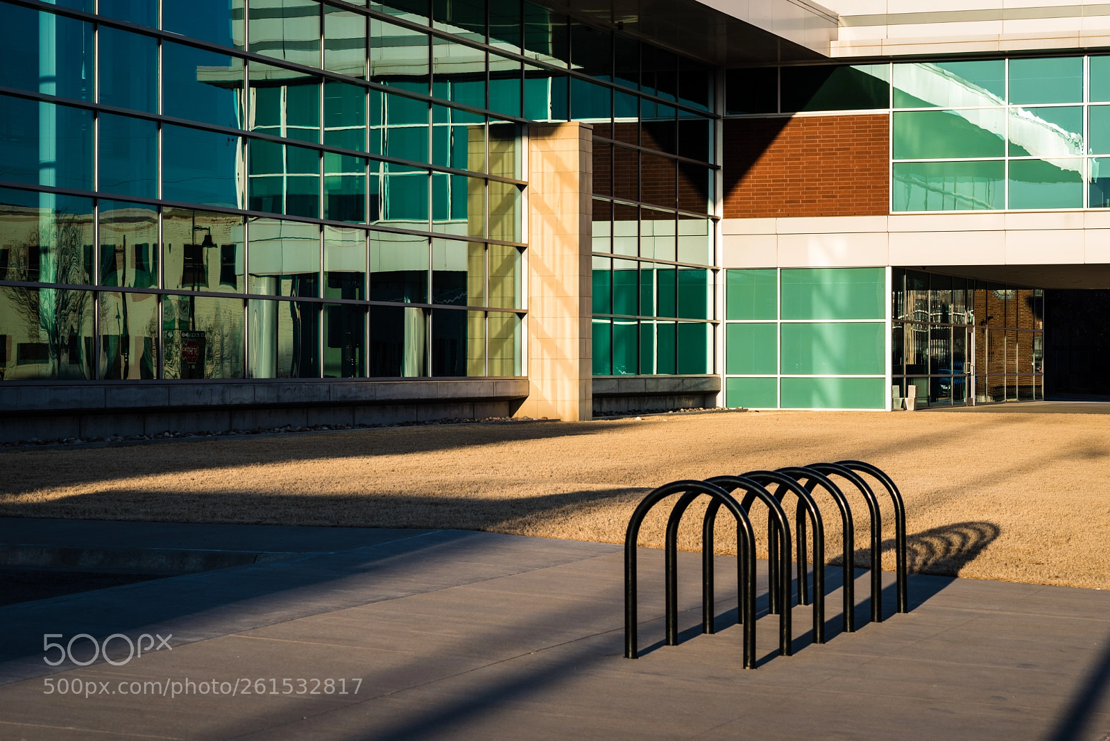 Nikon D750 sample photo. Self referential photography
