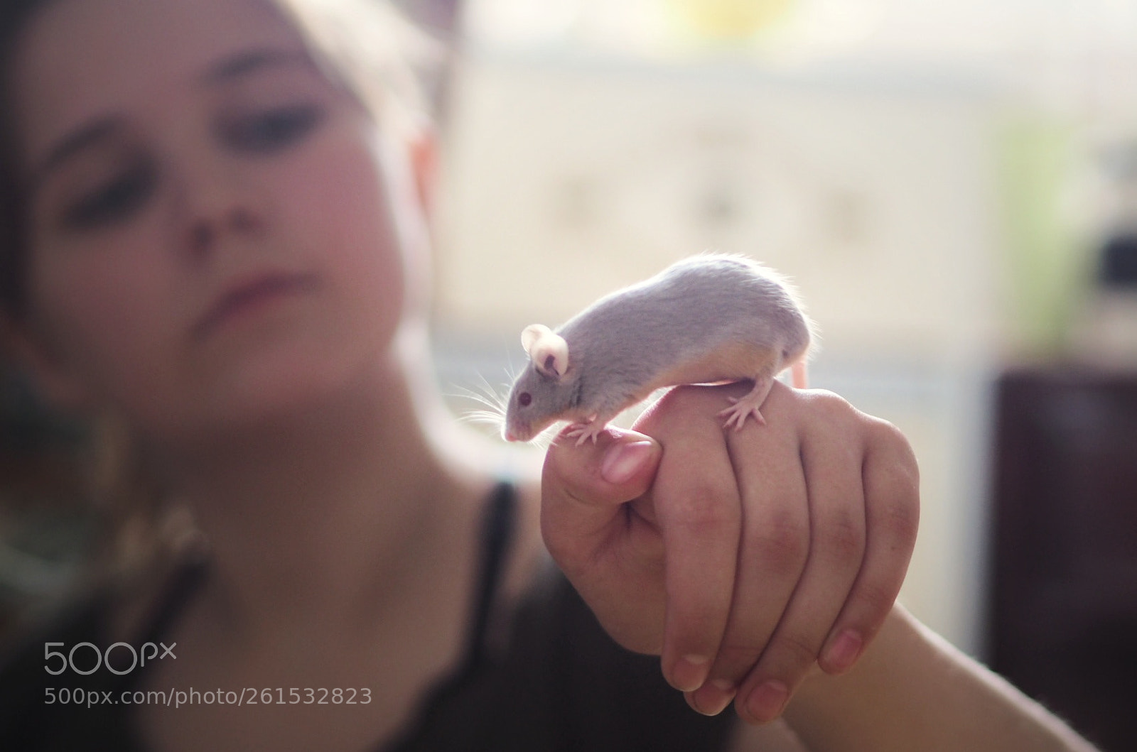Olympus OM-D E-M10 II sample photo. Friendly house mouse photography