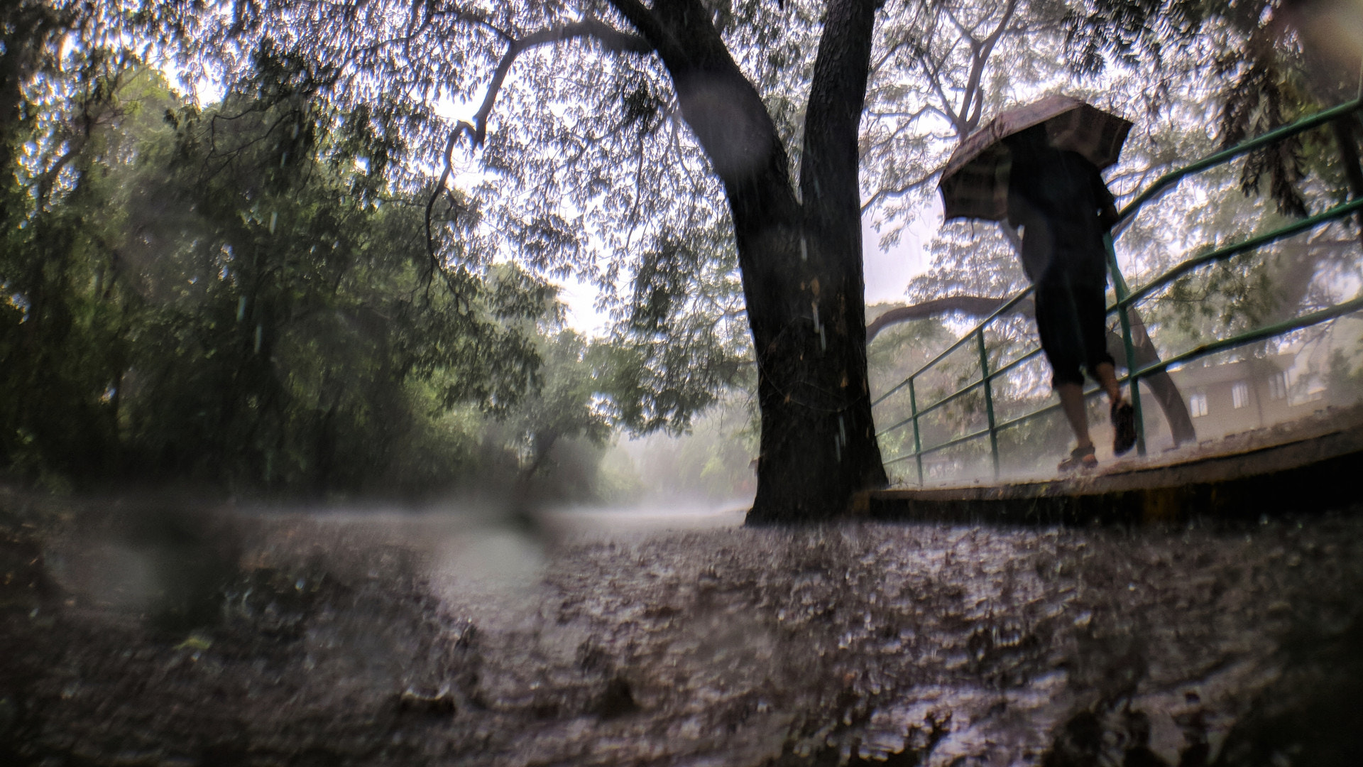 OnePlus A3003 sample photo. Monsoon photography