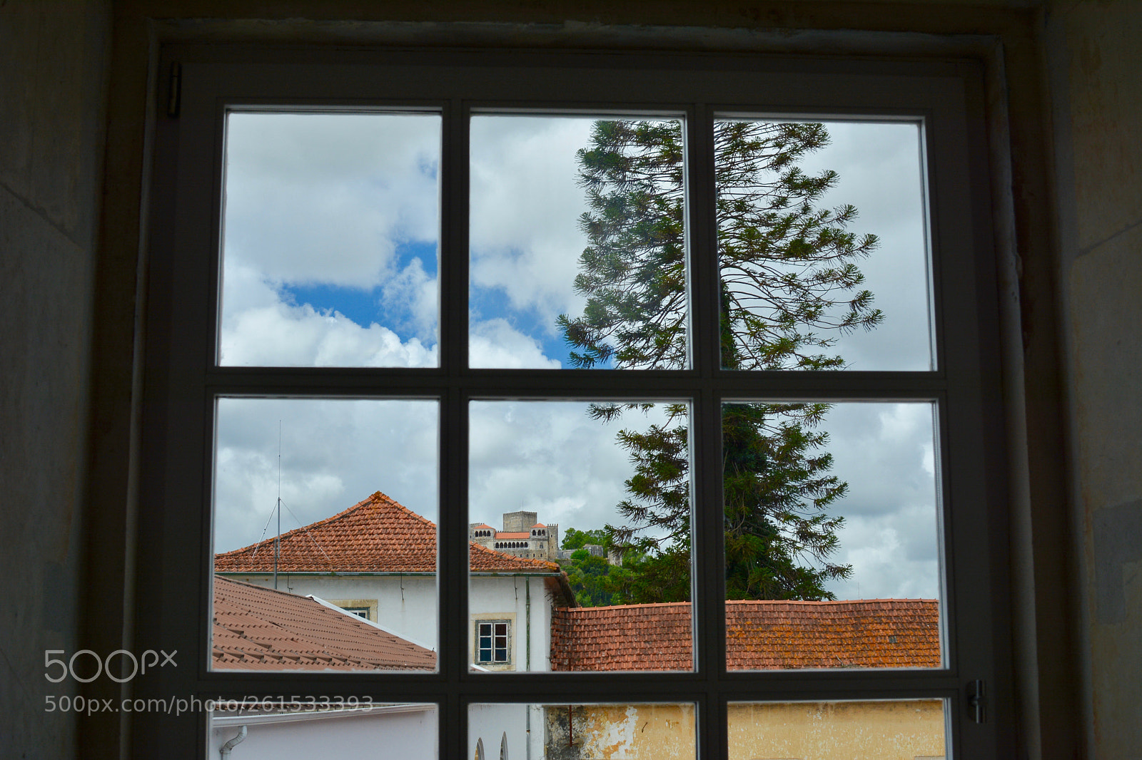 Nikon D7100 sample photo. Castle and an araucaria photography