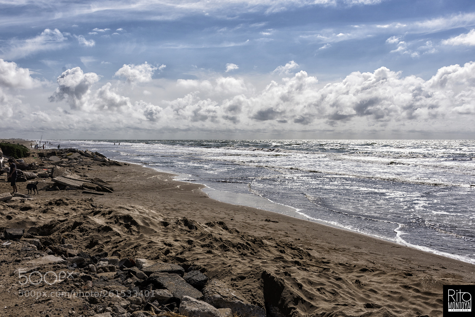 Nikon D7200 sample photo. Las toninas photography
