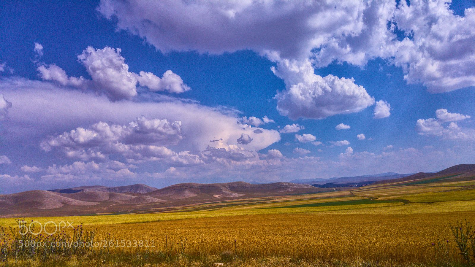 LG G4 sample photo. Endless steppe photography