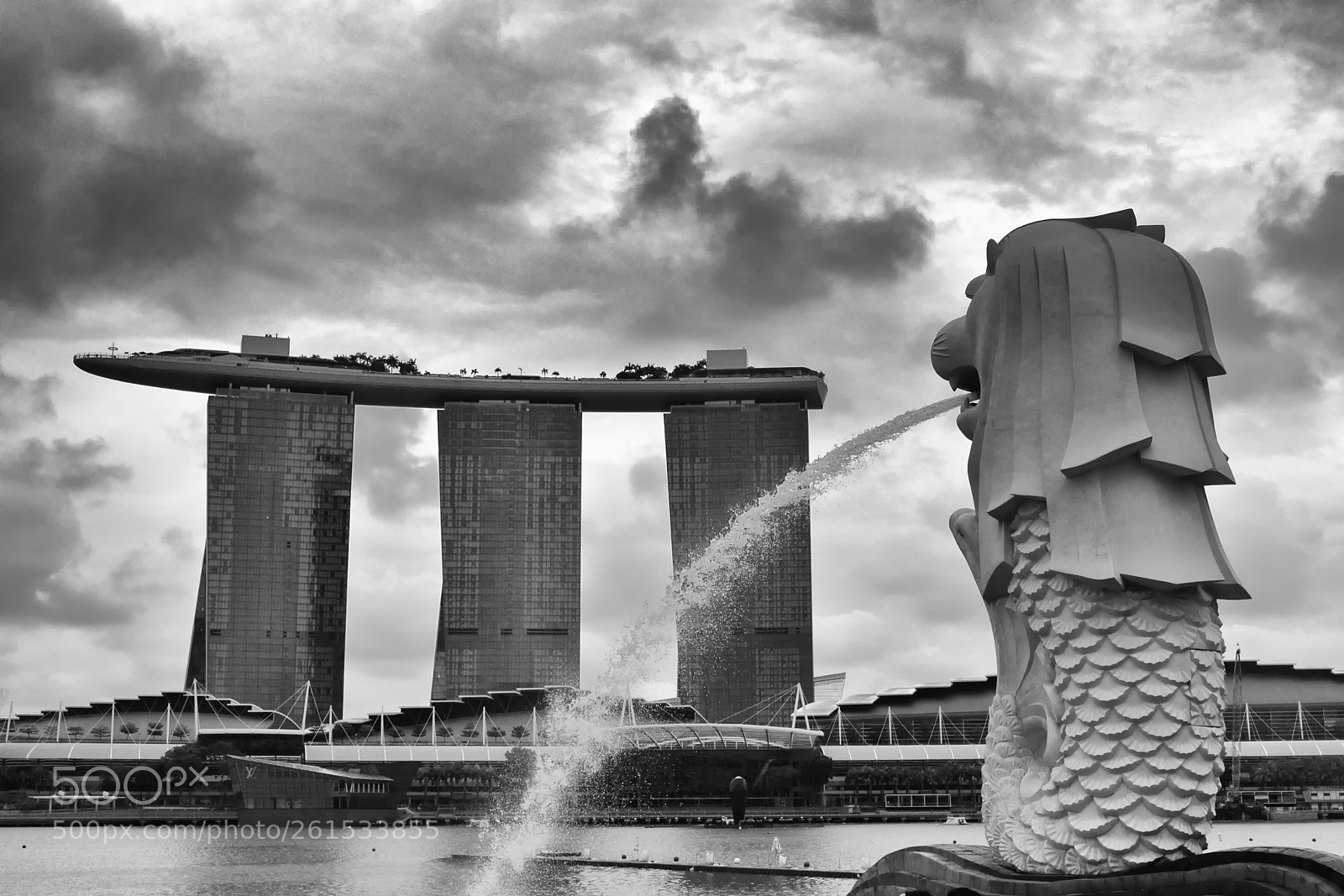 Nikon D3100 sample photo. Fascinatingly photography