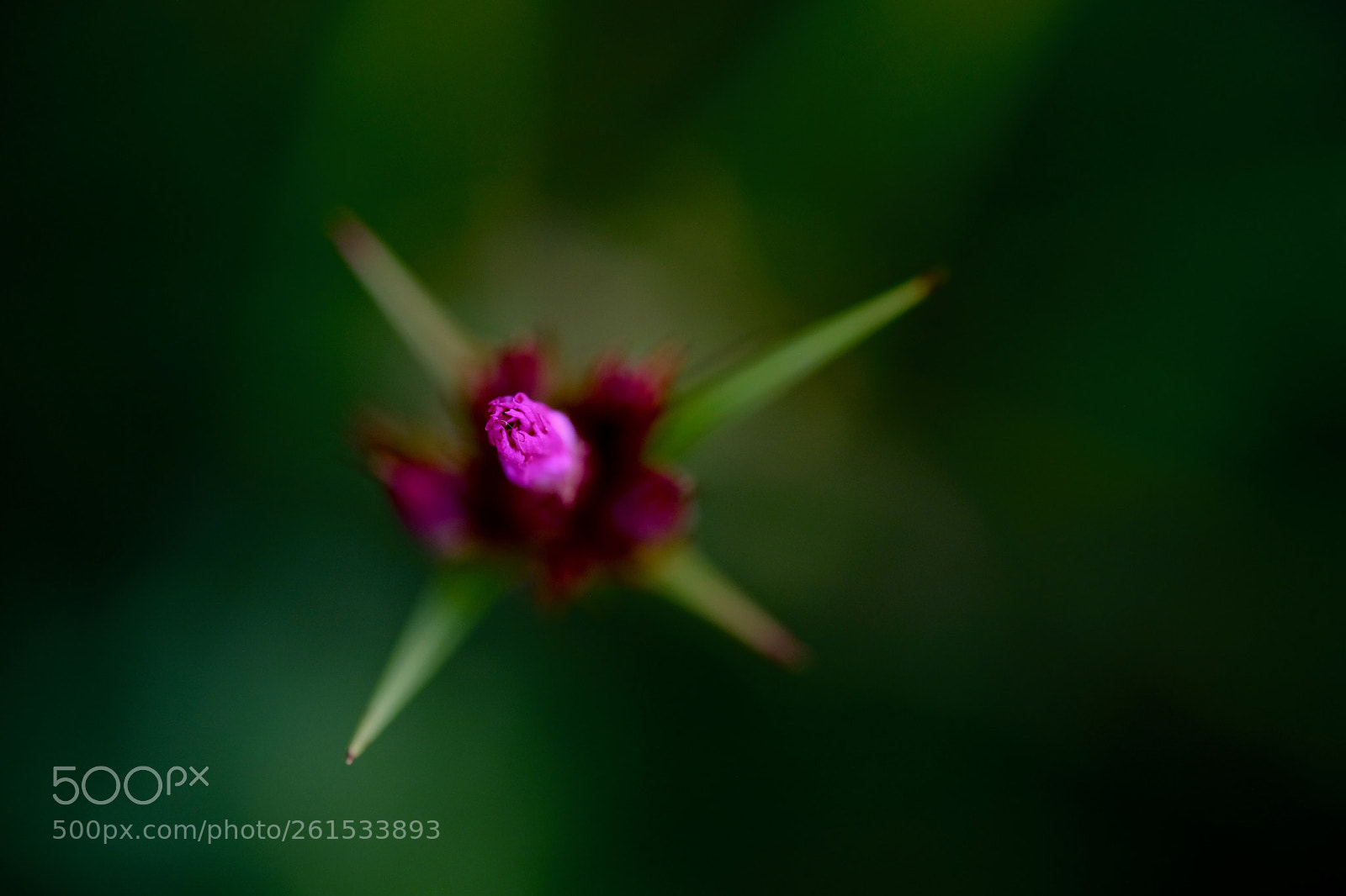 Fujifilm X-T2 sample photo. . photography