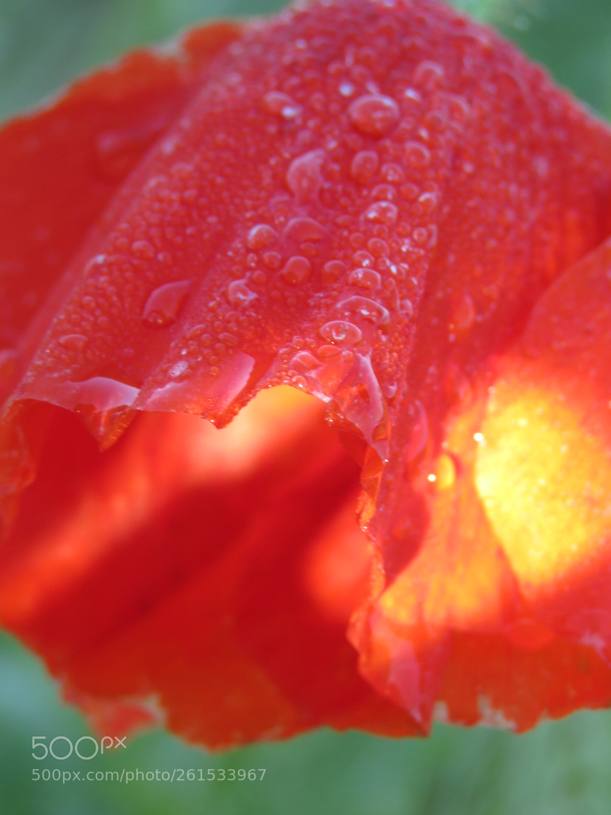 Canon PowerShot SX60 HS sample photo. Here comes the sun photography