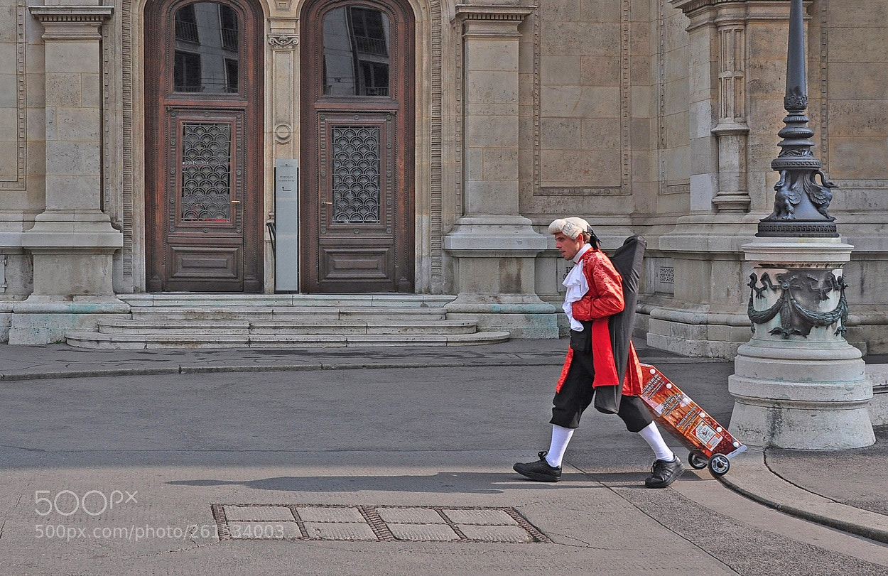 Nikon D90 sample photo. Viennaart photography