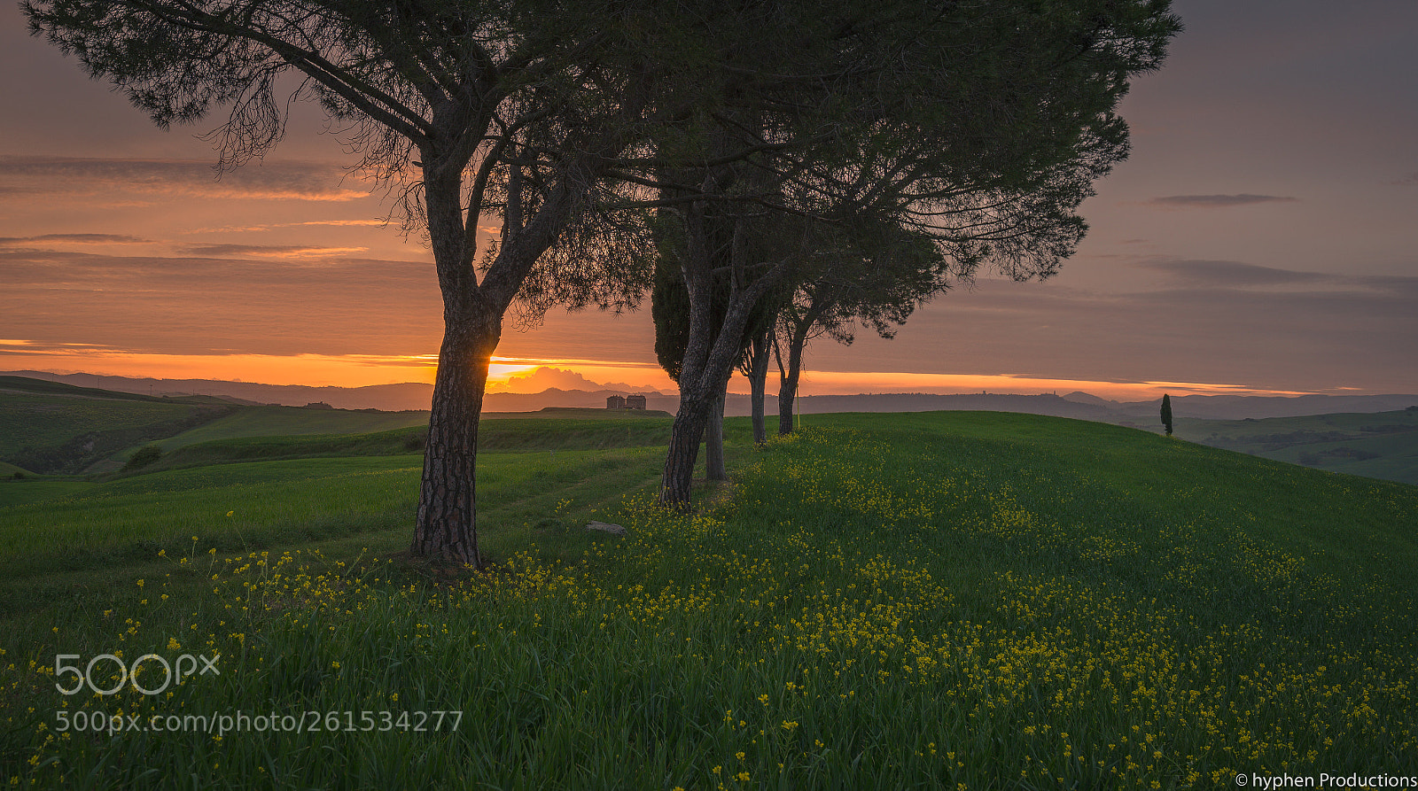 Nikon D750 sample photo. Val d'orcia sunrise photography