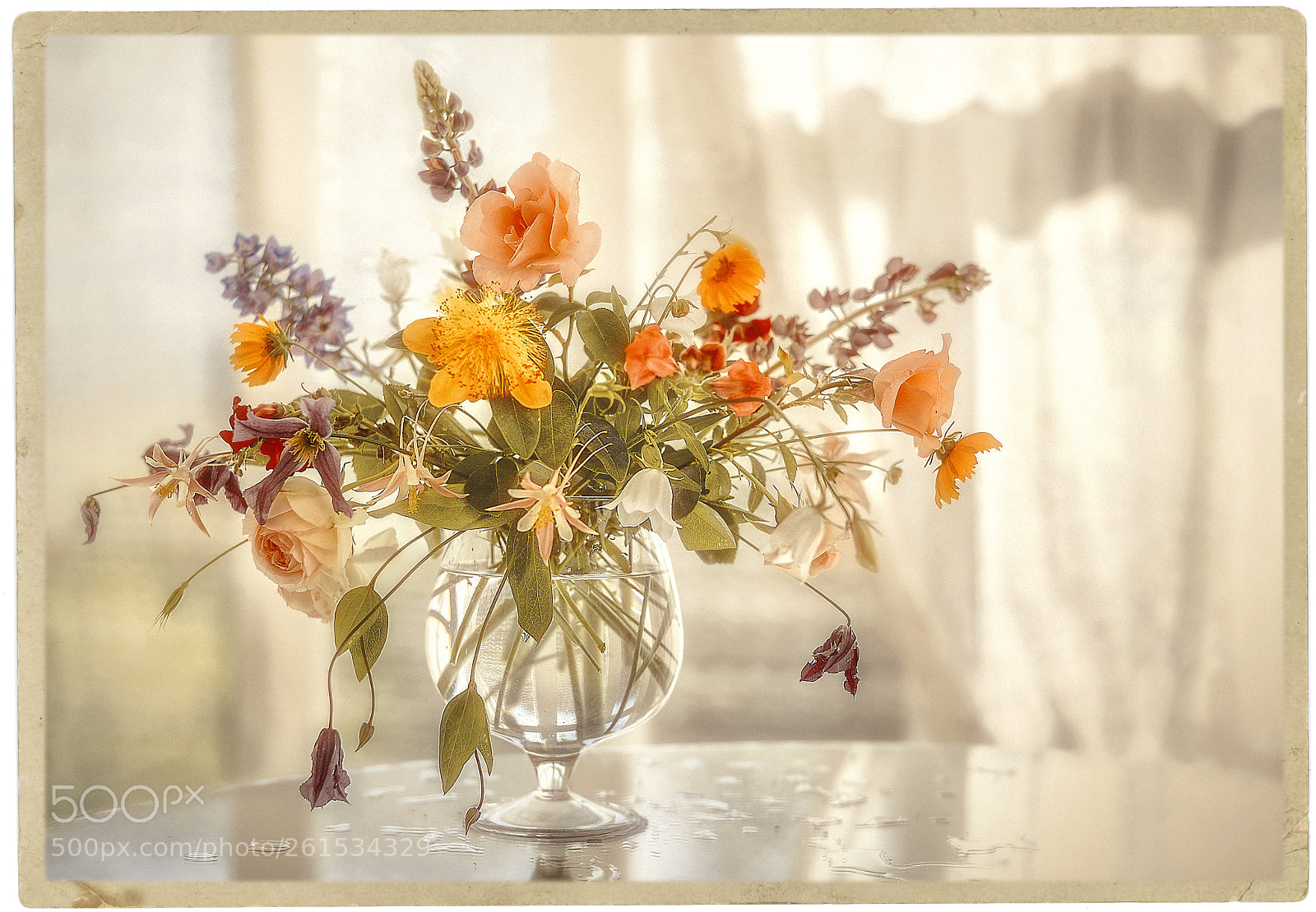 Nikon D610 sample photo. Old postcard photography