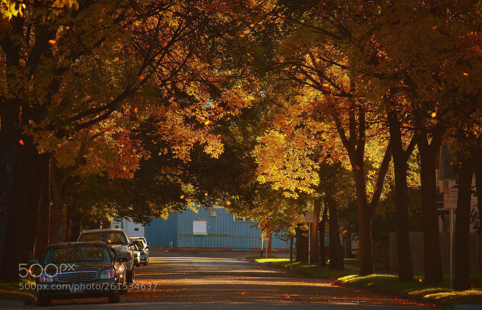 Nikon D3400 sample photo. 4th ave colors photography