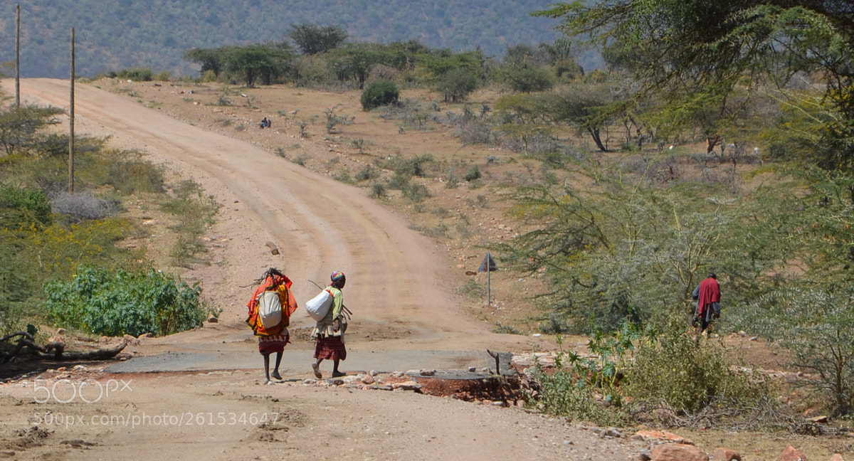 Nikon D5100 sample photo. Kenia photography