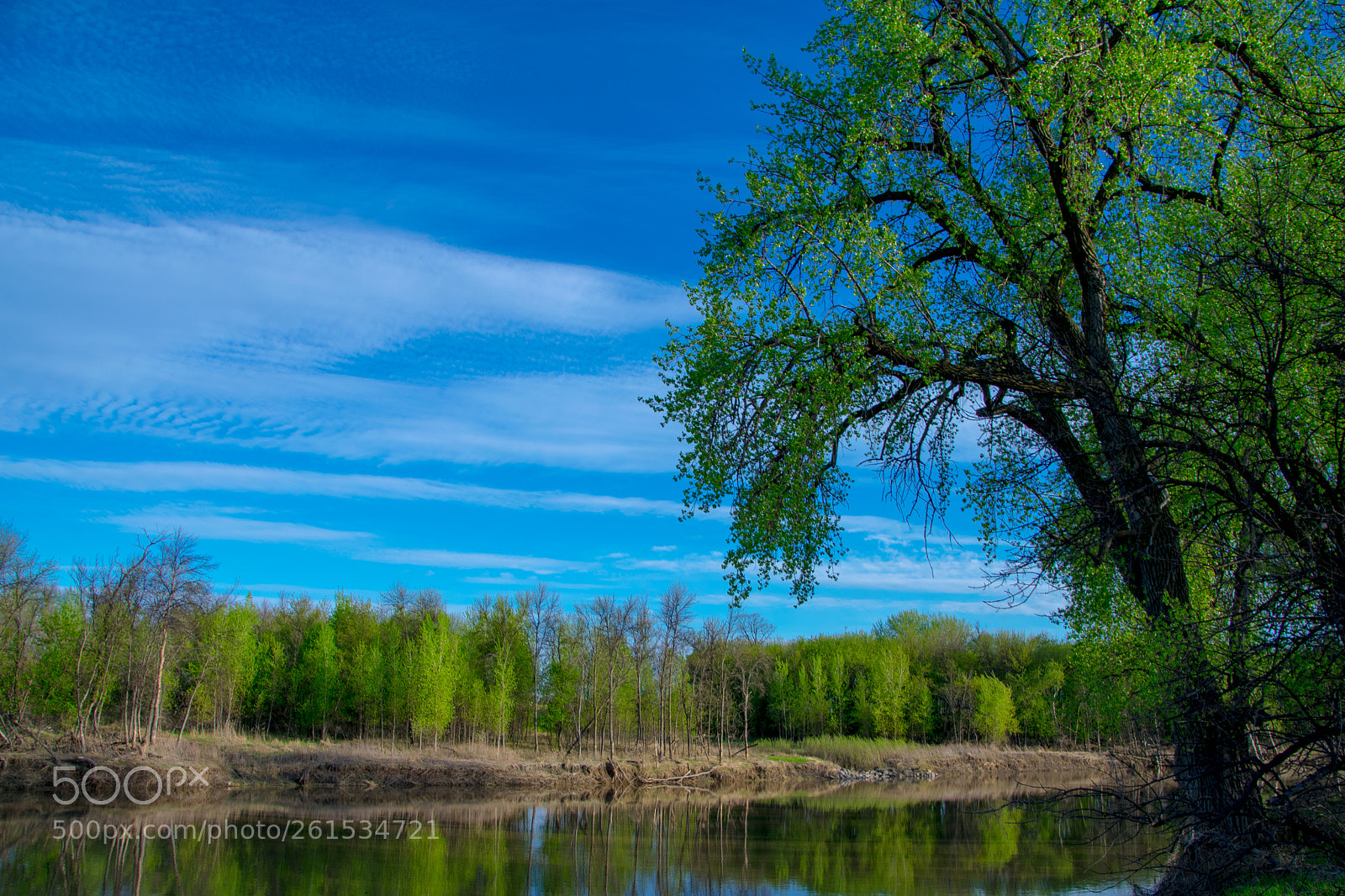 Nikon D3400 sample photo. Red river in spring photography