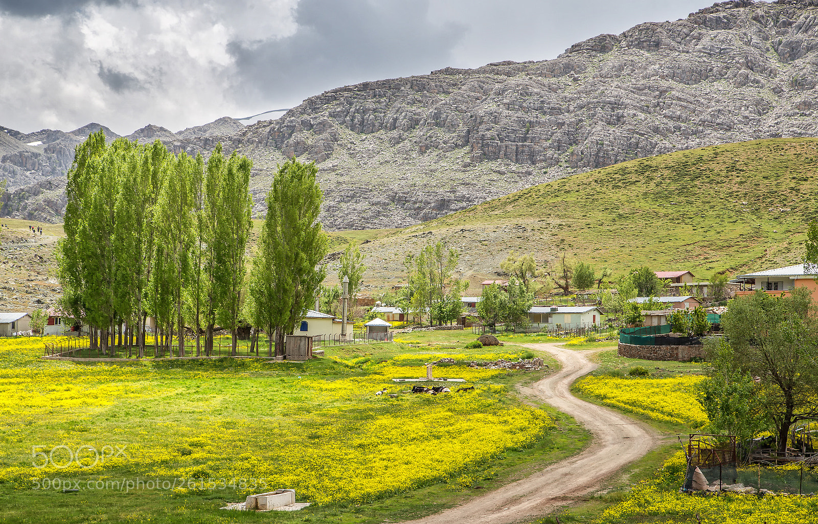 Canon EOS 6D sample photo. Kavaklar sarı sarı... photography