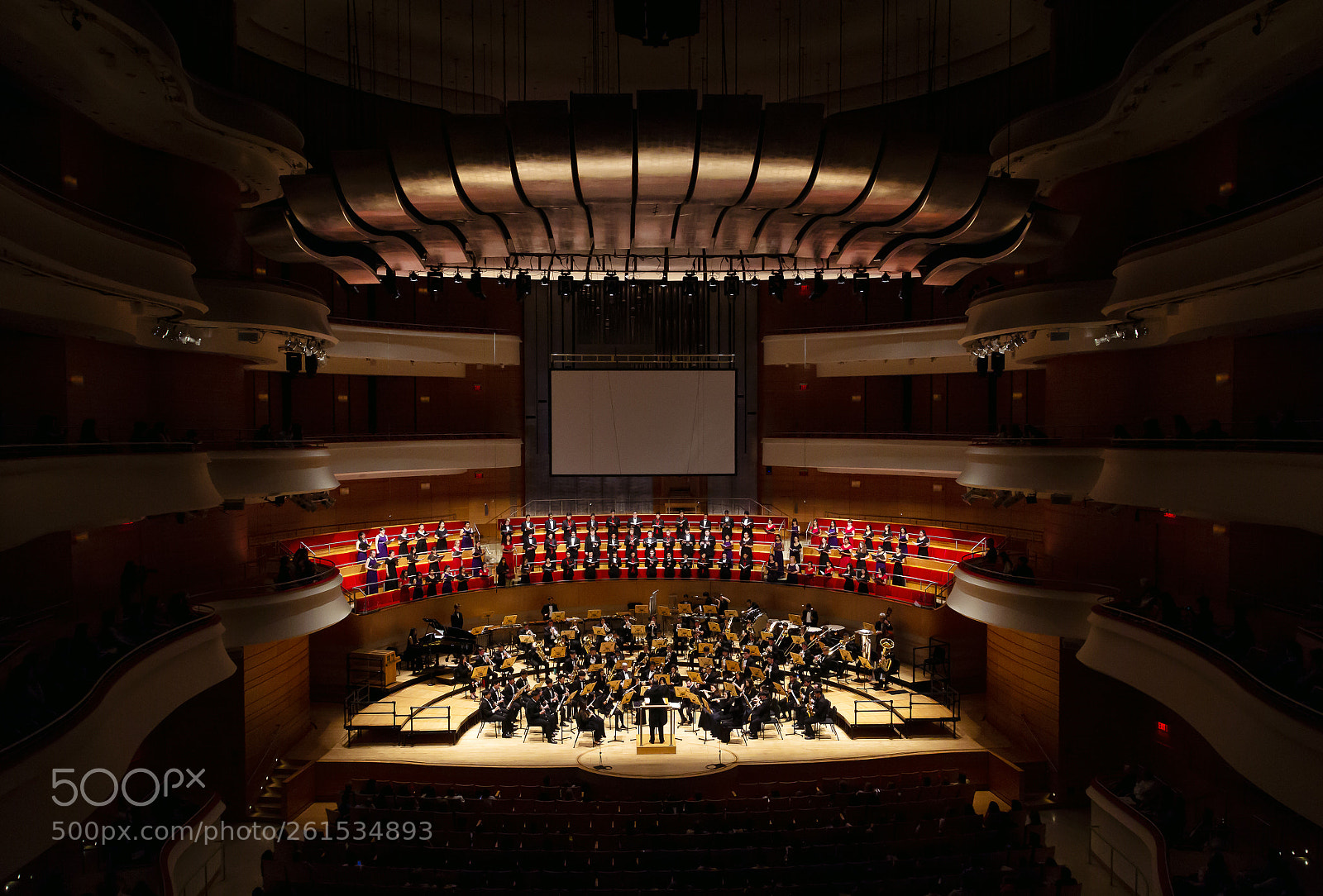 Canon EOS 60D sample photo. Psywe - with choir photography