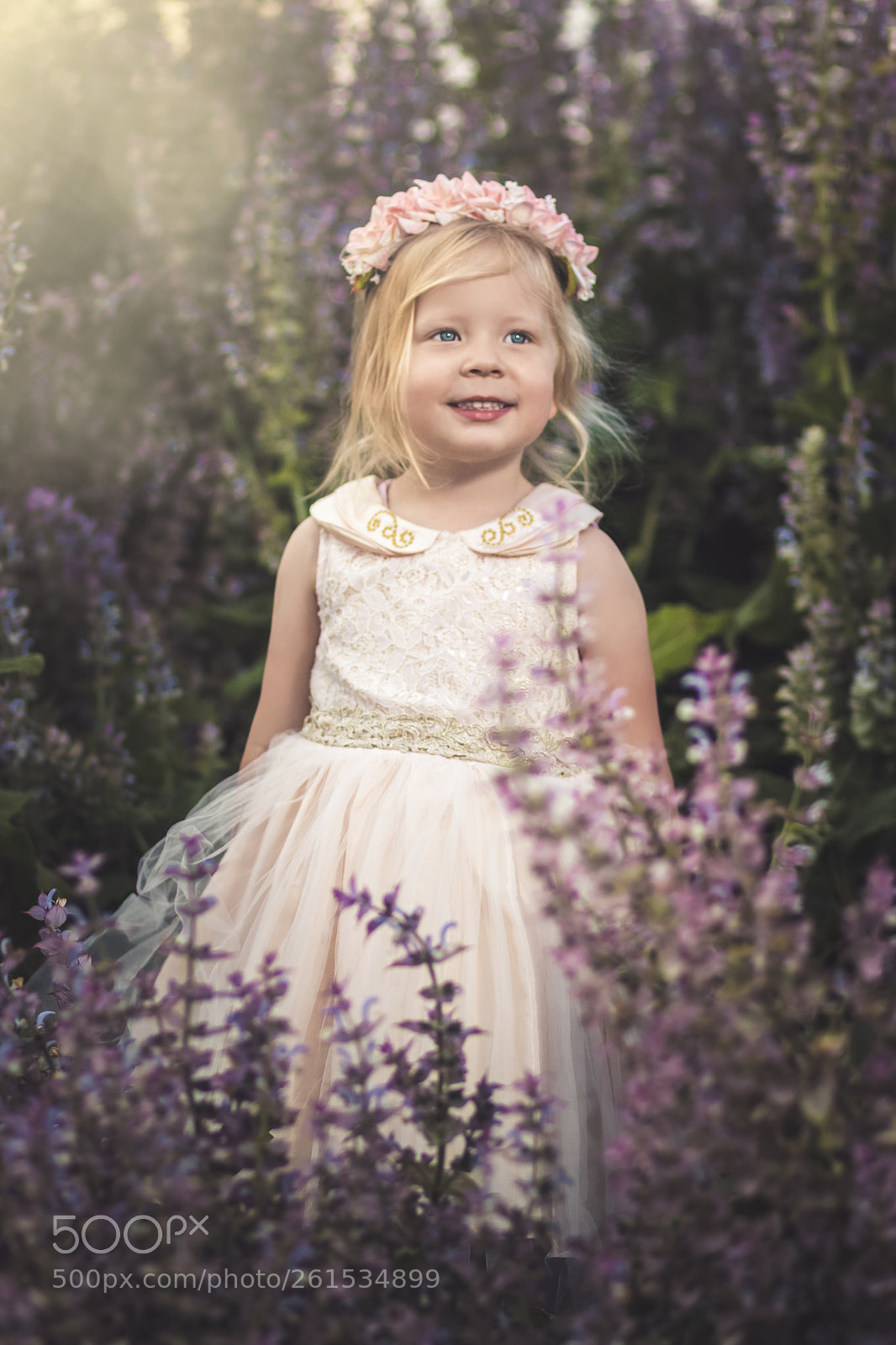 Canon EOS 70D sample photo. A girl in the photography