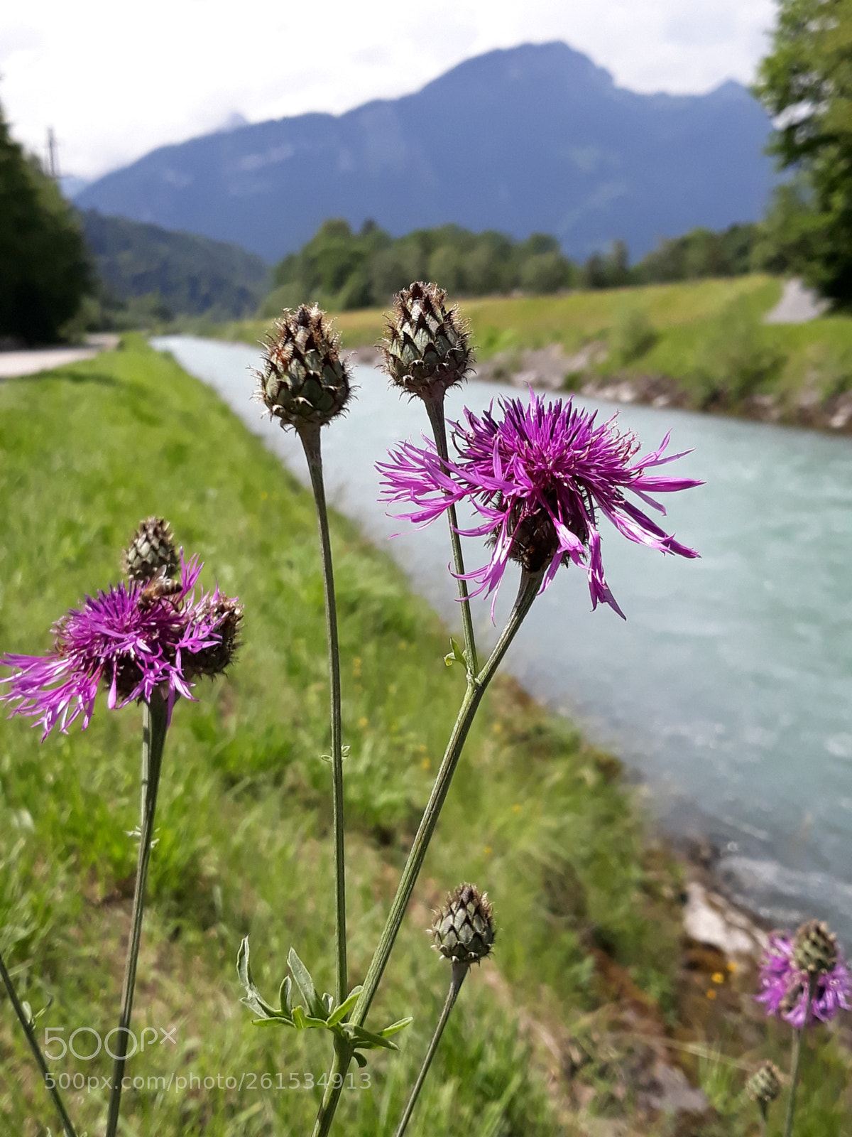 Samsung Galaxy J5 sample photo. Natur ist toll photography