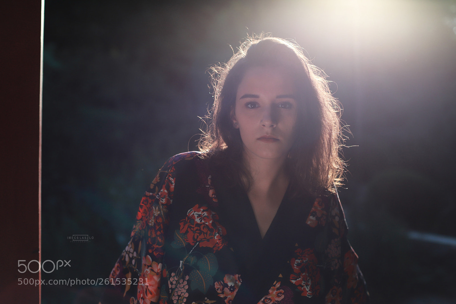 Canon EOS 6D Mark II sample photo. In lights photography
