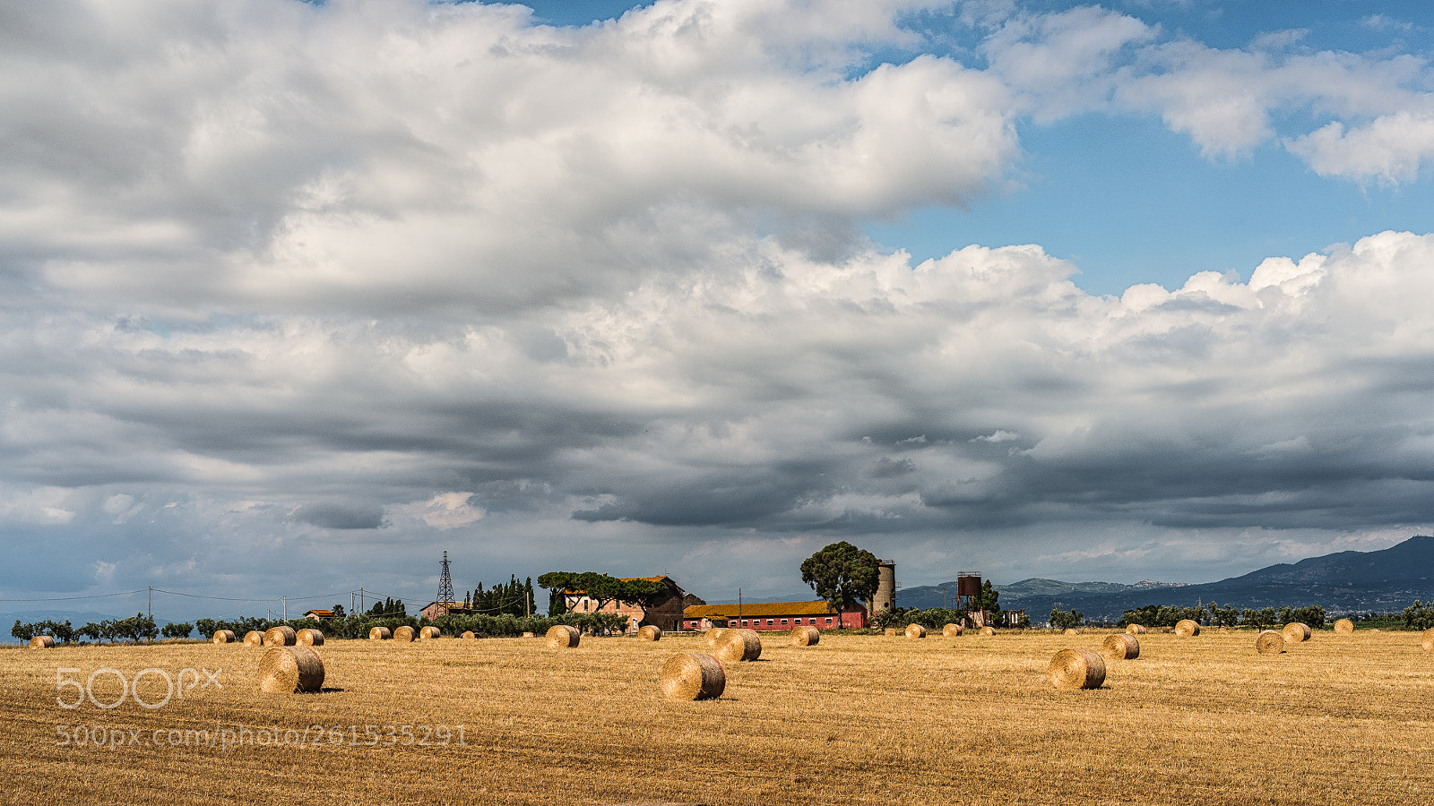 Nikon D810 sample photo. Pontina photography